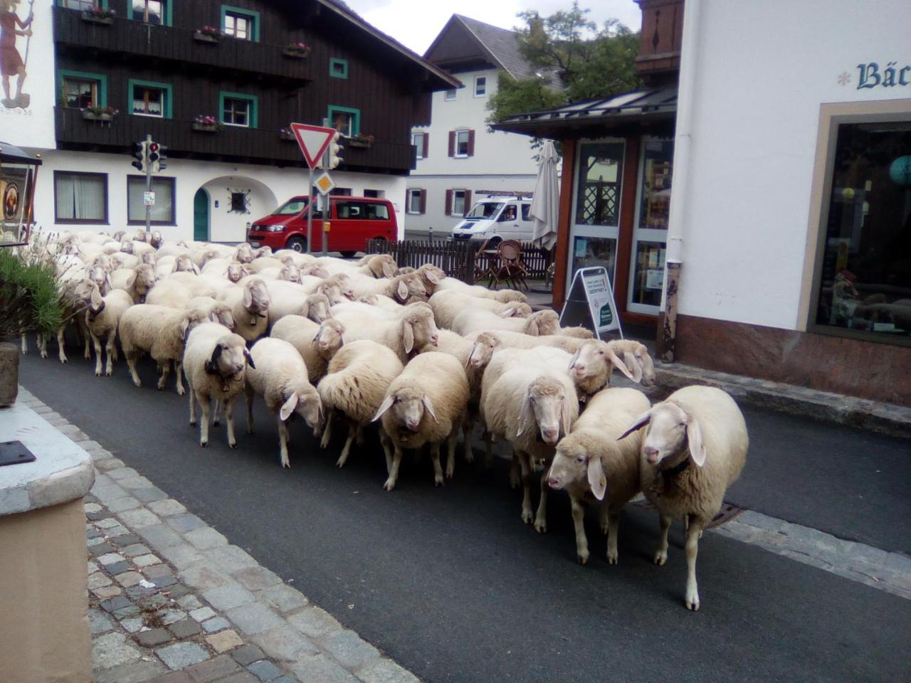 Landgasthof Kirchmayer Farchant Exterior photo